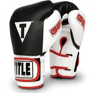 best boxing gloves