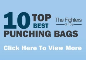 top 10 best punching bags