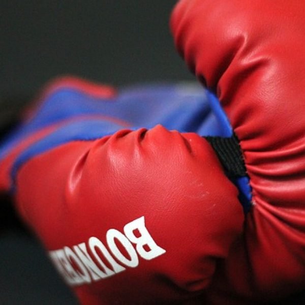 best boxing gloves