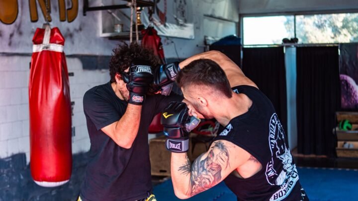 Top 10 Best MMA Sparring Gloves for Training (2026)
