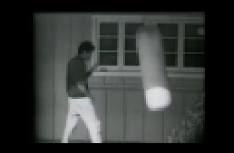 bruce lee vs mike tyson heavy bag