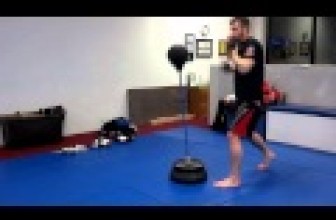 Sparbar – Amazing Boxing Reflex skills